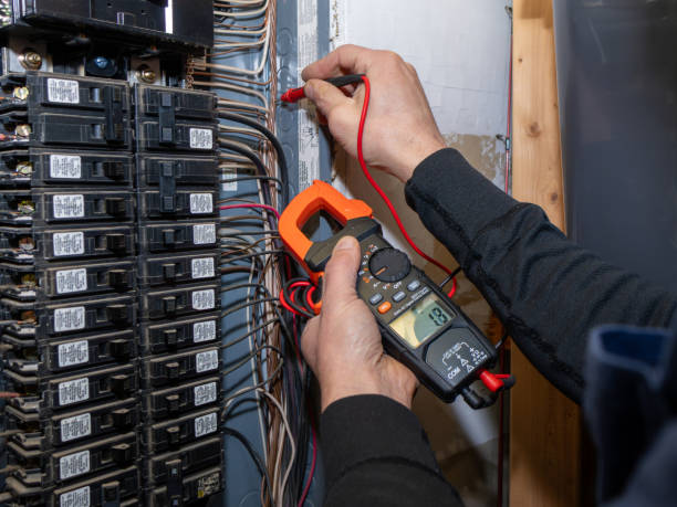 Best Generator Installation Services  in Olivarez, TX